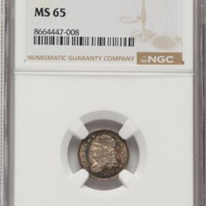 1833 Bust Half Dimes (1833 H10C)