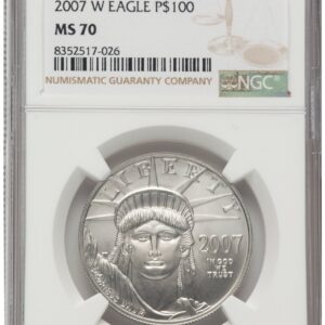 2007-W Modern Bullion Coins (2007-W Burnished Platinum Eagle 1 oz Brown Label)