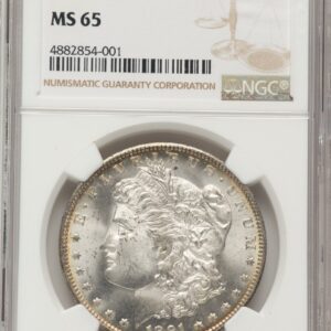 1891-O Morgan Dollars (1891-O S$1)
