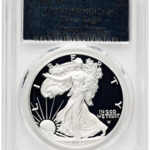 2023-W Modern Bullion Coins (2023-W Proof Silver Eagle 1 oz AR Silver Foil)