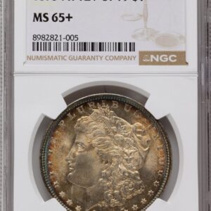 1878 7TF Morgan Dollars (1878 7TF S$1 Reverse of 1879 NGC Plus)